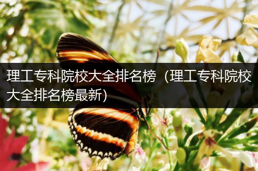 理工专科院校大全排名榜（理工专科院校大全排名榜最新）
