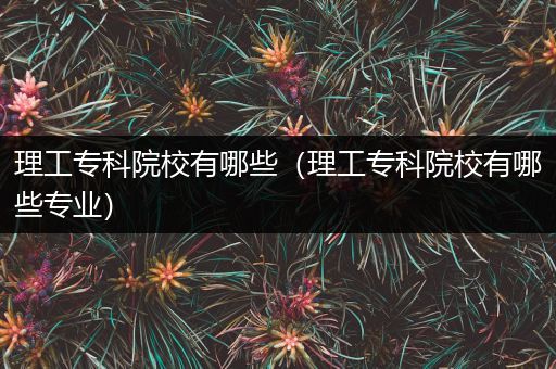 理工专科院校有哪些（理工专科院校有哪些专业）