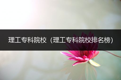 理工专科院校（理工专科院校排名榜）