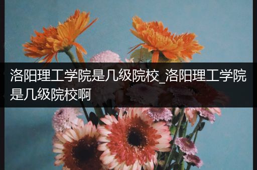 洛阳理工学院是几级院校_洛阳理工学院是几级院校啊