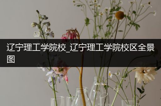 辽宁理工学院校_辽宁理工学院校区全景图