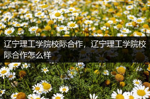辽宁理工学院校际合作，辽宁理工学院校际合作怎么样