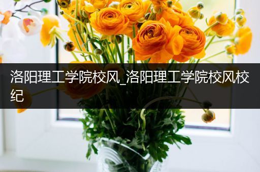 洛阳理工学院校风_洛阳理工学院校风校纪