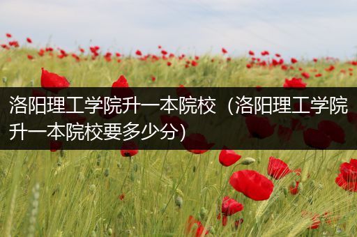 洛阳理工学院升一本院校（洛阳理工学院升一本院校要多少分）