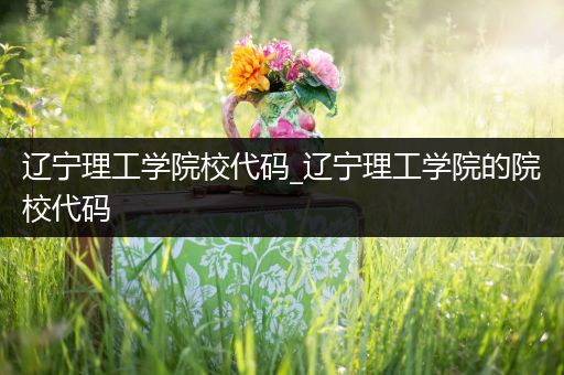 辽宁理工学院校代码_辽宁理工学院的院校代码