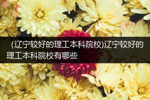 （辽宁较好的理工本科院校)辽宁较好的理工本科院校有哪些