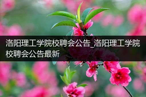 洛阳理工学院校聘会公告_洛阳理工学院校聘会公告最新