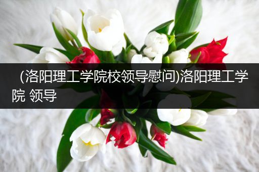 （洛阳理工学院校领导慰问)洛阳理工学院 领导