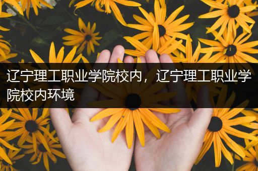 辽宁理工职业学院校内，辽宁理工职业学院校内环境