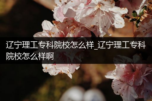辽宁理工专科院校怎么样_辽宁理工专科院校怎么样啊