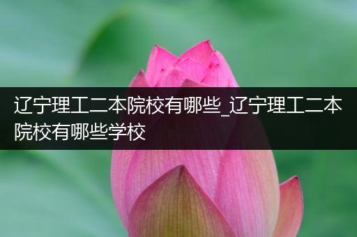 辽宁理工二本院校有哪些_辽宁理工二本院校有哪些学校