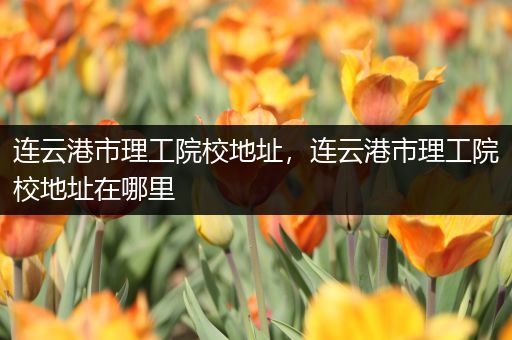 连云港市理工院校地址，连云港市理工院校地址在哪里