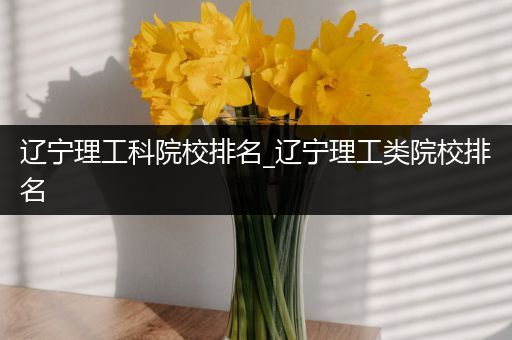 辽宁理工科院校排名_辽宁理工类院校排名