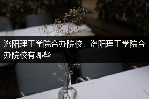 洛阳理工学院合办院校，洛阳理工学院合办院校有哪些