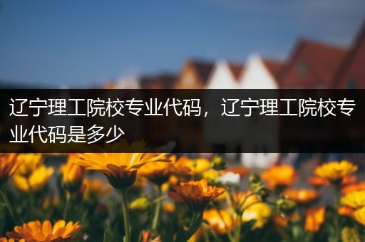 辽宁理工院校专业代码，辽宁理工院校专业代码是多少