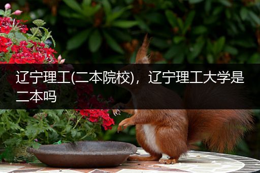 辽宁理工(二本院校)，辽宁理工大学是二本吗