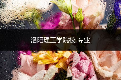 洛阳理工学院校 专业