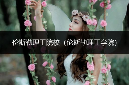 伦斯勒理工院校（伦斯勒理工学院）