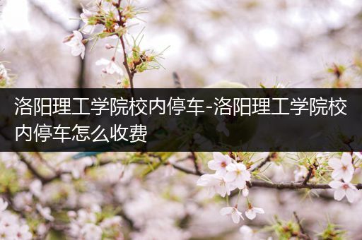 洛阳理工学院校内停车-洛阳理工学院校内停车怎么收费