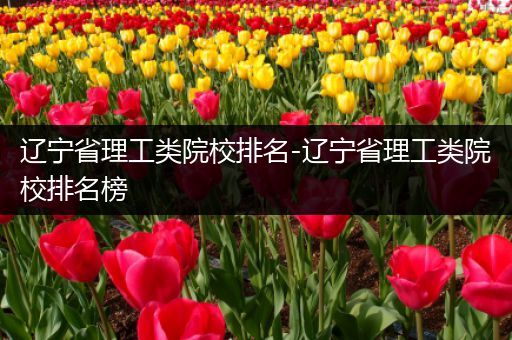 辽宁省理工类院校排名-辽宁省理工类院校排名榜