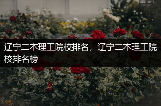 辽宁二本理工院校排名，辽宁二本理工院校排名榜