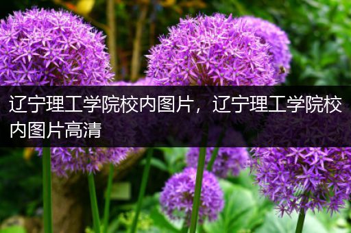 辽宁理工学院校内图片，辽宁理工学院校内图片高清