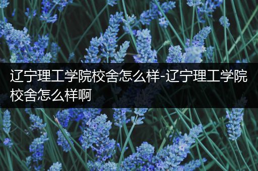 辽宁理工学院校舍怎么样-辽宁理工学院校舍怎么样啊