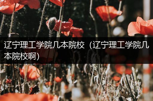 辽宁理工学院几本院校（辽宁理工学院几本院校啊）