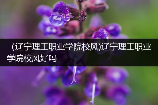 （辽宁理工职业学院校风)辽宁理工职业学院校风好吗