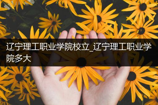 辽宁理工职业学院校立_辽宁理工职业学院多大