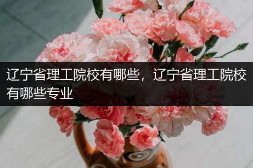辽宁省理工院校有哪些，辽宁省理工院校有哪些专业