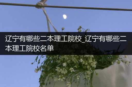 辽宁有哪些二本理工院校_辽宁有哪些二本理工院校名单