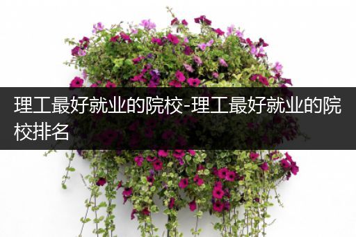 理工最好就业的院校-理工最好就业的院校排名