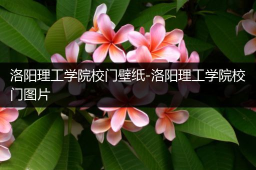 洛阳理工学院校门壁纸-洛阳理工学院校门图片