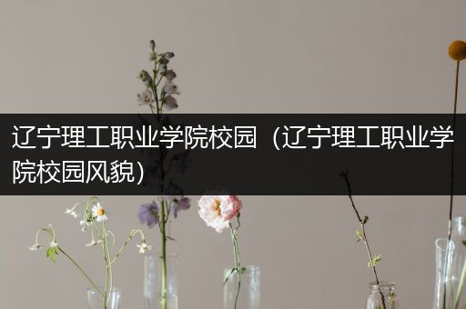 辽宁理工职业学院校园（辽宁理工职业学院校园风貌）