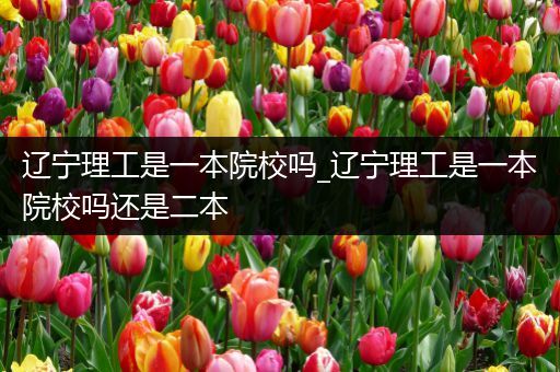辽宁理工是一本院校吗_辽宁理工是一本院校吗还是二本