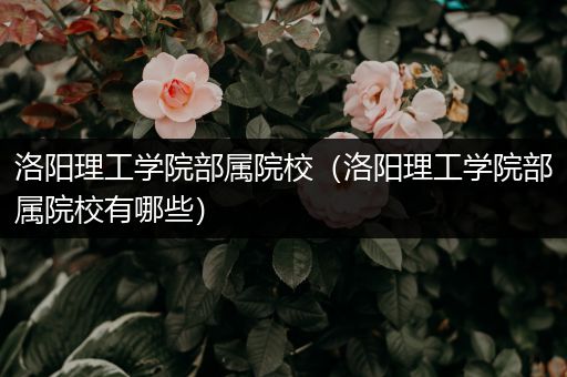 洛阳理工学院部属院校（洛阳理工学院部属院校有哪些）