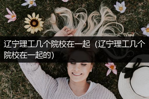 辽宁理工几个院校在一起（辽宁理工几个院校在一起的）