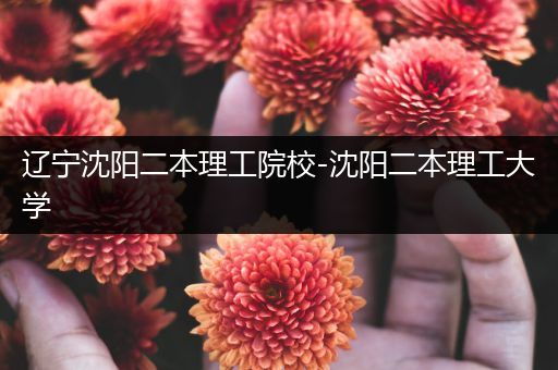 辽宁沈阳二本理工院校-沈阳二本理工大学