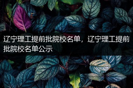 辽宁理工提前批院校名单，辽宁理工提前批院校名单公示