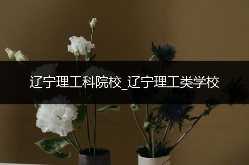 辽宁理工科院校_辽宁理工类学校