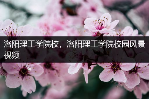 洛阳理工学院校，洛阳理工学院校园风景视频