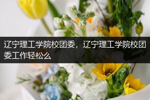 辽宁理工学院校团委，辽宁理工学院校团委工作轻松么