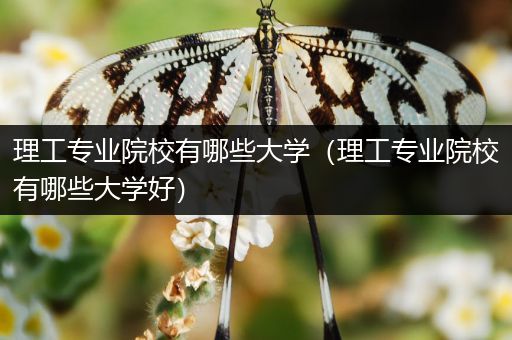 理工专业院校有哪些大学（理工专业院校有哪些大学好）