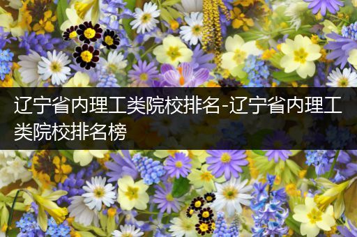 辽宁省内理工类院校排名-辽宁省内理工类院校排名榜