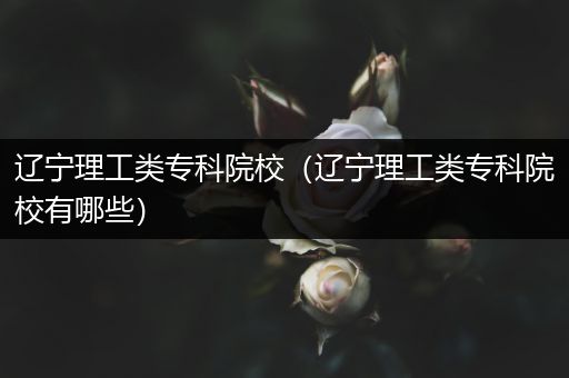 辽宁理工类专科院校（辽宁理工类专科院校有哪些）