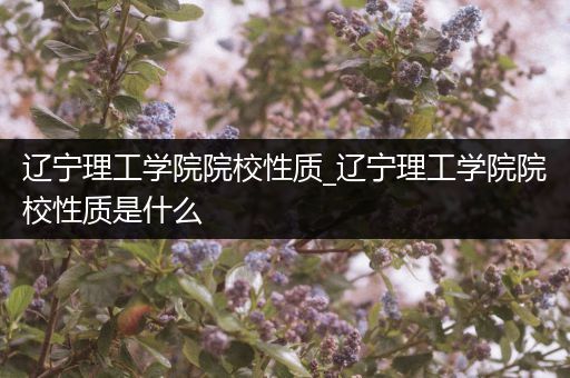 辽宁理工学院院校性质_辽宁理工学院院校性质是什么