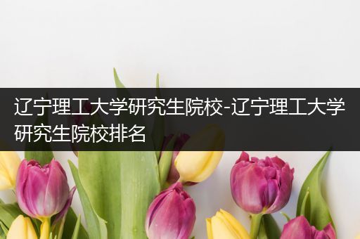 辽宁理工大学研究生院校-辽宁理工大学研究生院校排名