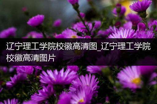 辽宁理工学院校徽高清图_辽宁理工学院校徽高清图片