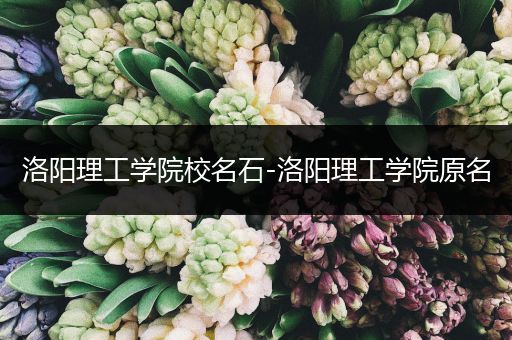 洛阳理工学院校名石-洛阳理工学院原名